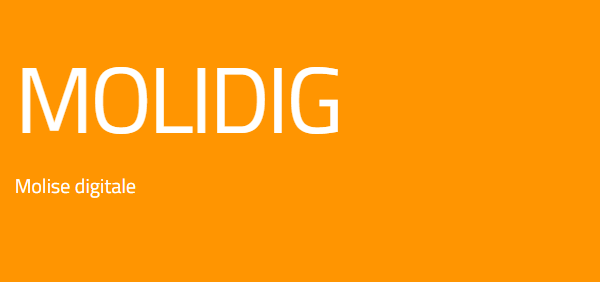 Immagine 2026-03-13 115000